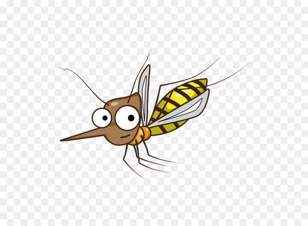 Комар для детского сада