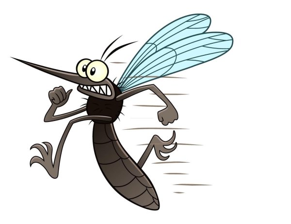 Маленький комарик