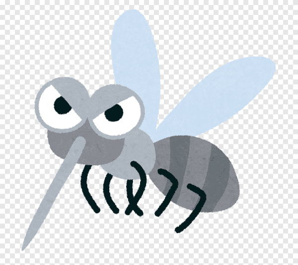 Комарик на прозрачном фоне