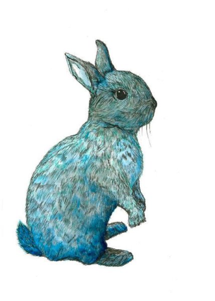 Голубой заяц