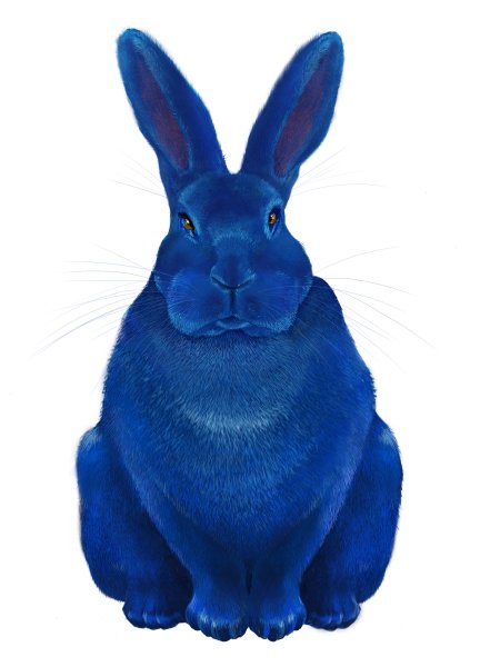 Синий кролик