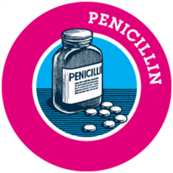 Пенициллин вектор