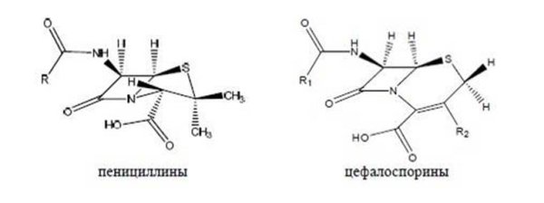 Цефалоспорины химическая формула
