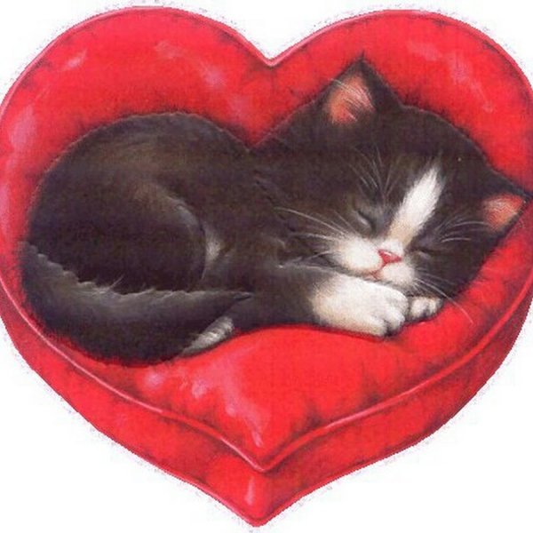 Котенок с сердечком