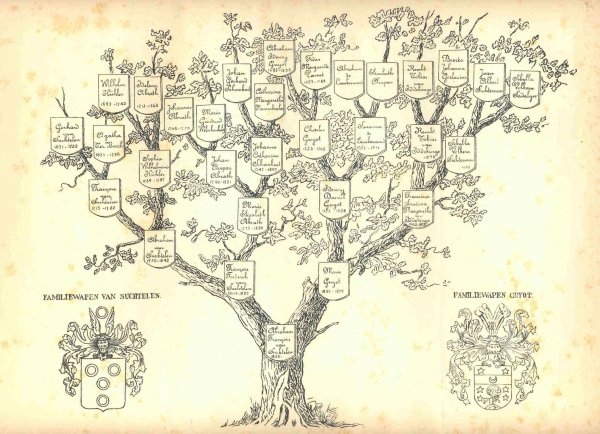 Родословная генетическая дерево