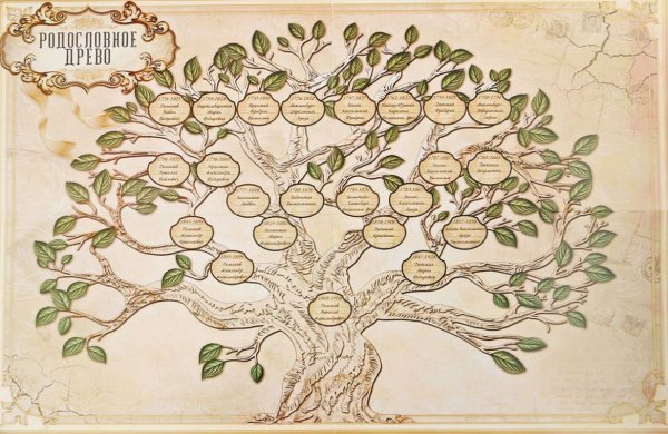Фэмили Древо Фэмили генеалогическое
