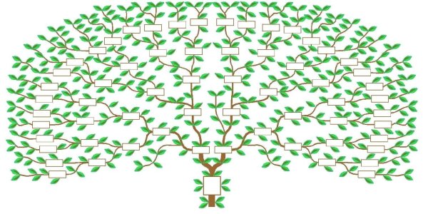 Рисование родословного дерева