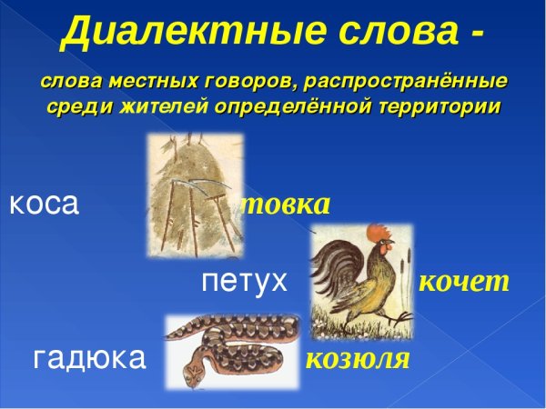 Диалектные слова