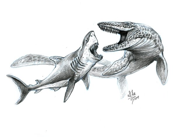 Мозазавр и МЕГАЛОДОН