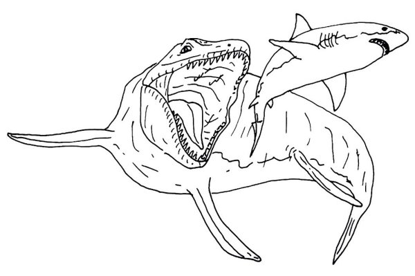 Vore Мозазавр