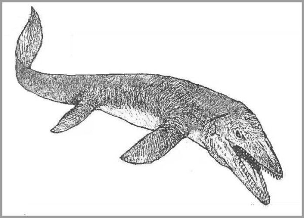 Раскраски динозавры Мозазавр