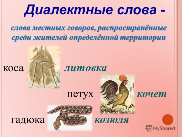 Диалектиктивные слова