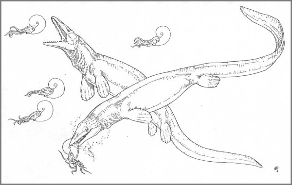 Раскраски динозавры Мозазавр