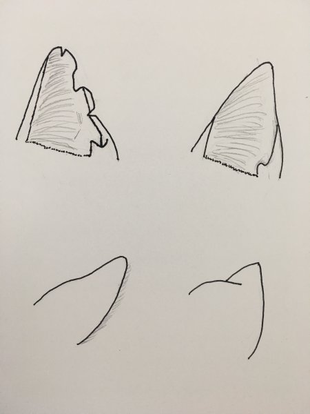 Ушки для рисования