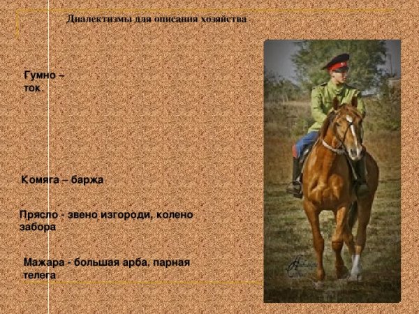 Диалектизмы 6 класс