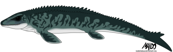 Нарисовать МОЗАЗАВРА