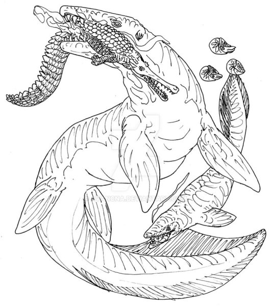 Мозазавр раскраска
