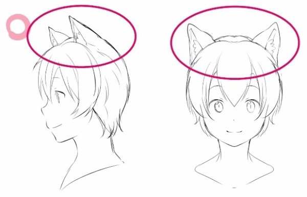 Уши кота аниме