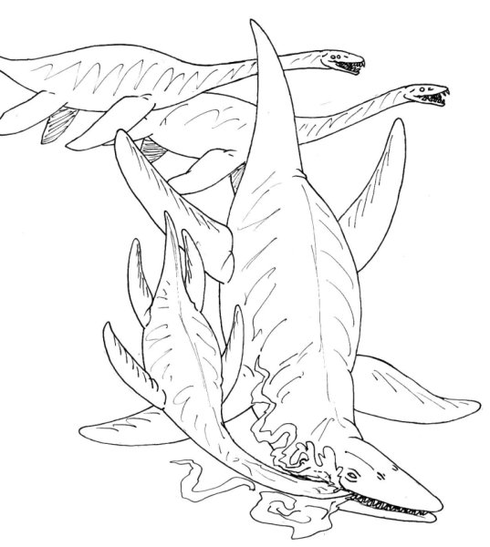 Kronosaurus queenslandicus