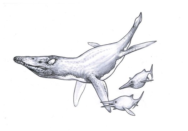 Водные динозавры