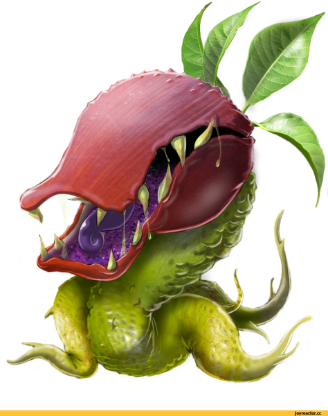 Хищный цветок арт