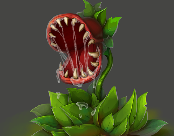 Венерина мухоловка vyjcnh