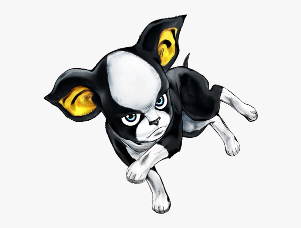 Бостон терьер Игги