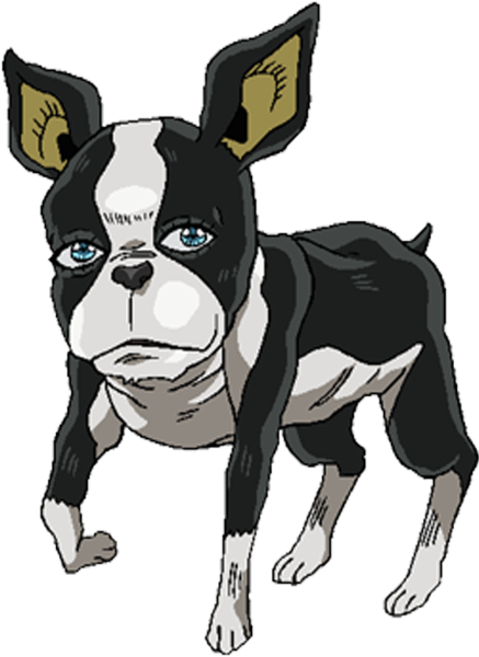 Игги собака Джоджо