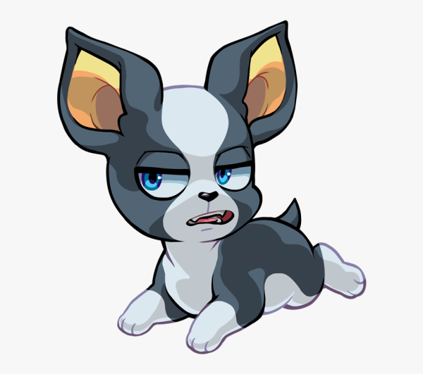 Бостон терьер Игги