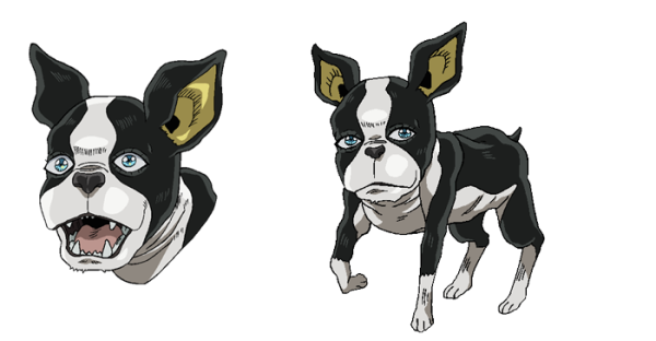 Бостон терьер Игги