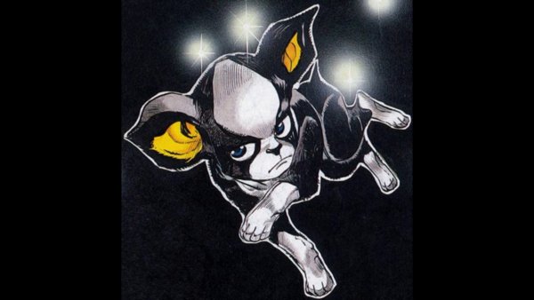 Бостон терьер Игги