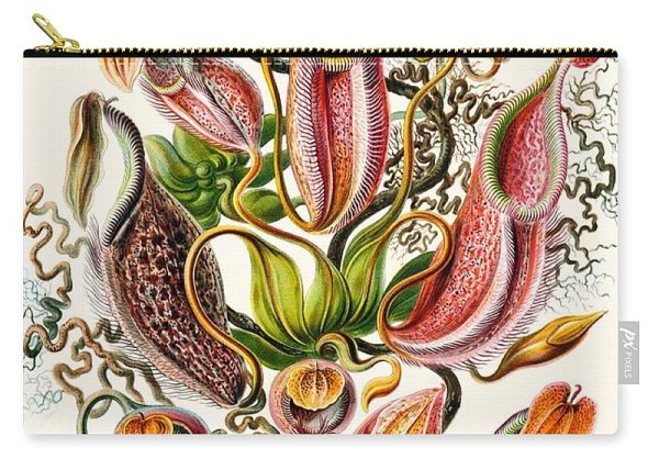 Иллюстрации хищных растений