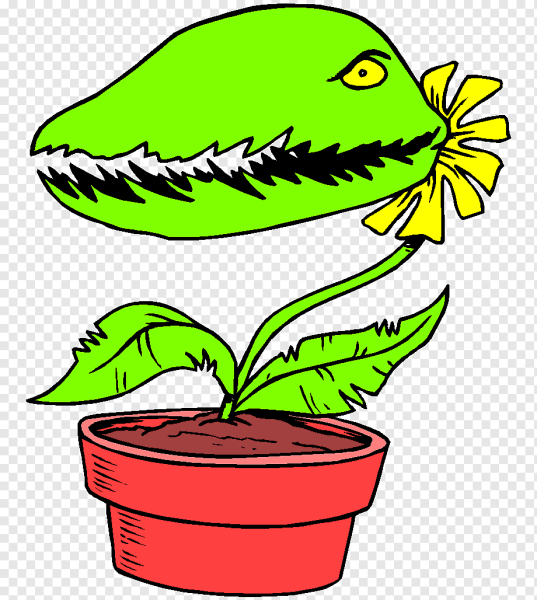 Венерина мухоловка