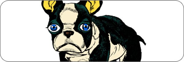 Лицо Игги Джоджо