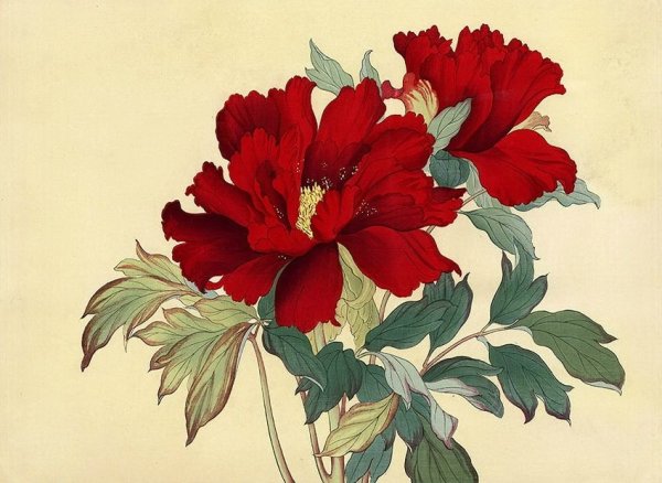 Танигами художник пион