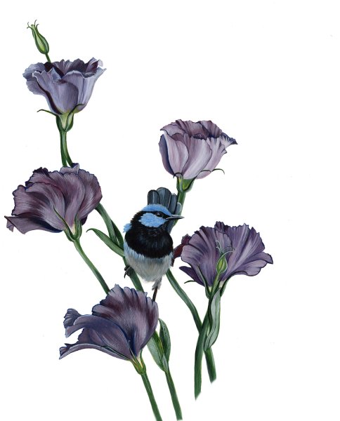 Эустома Ботаническая