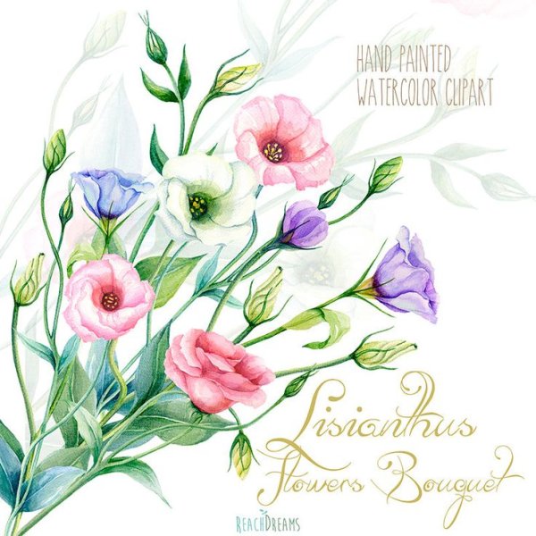 Лизиантусы акварель