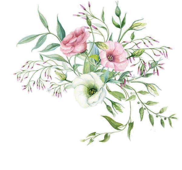 Эустома Ботаническая