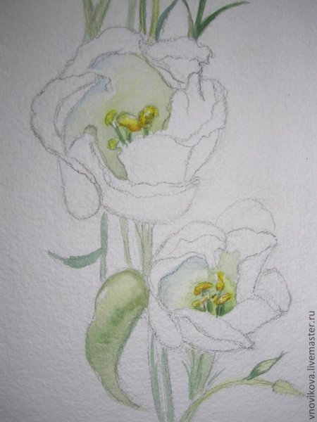 Цветы рисунок