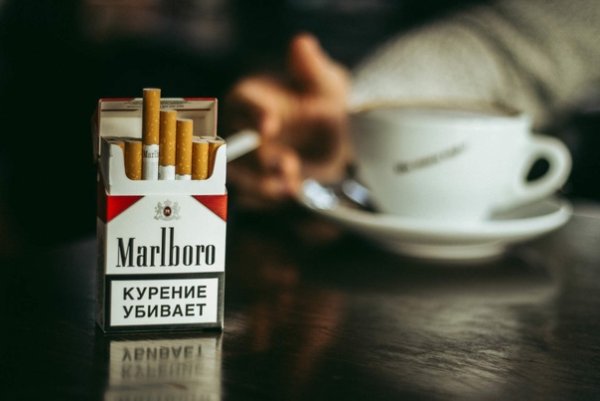 Мальборо 2022