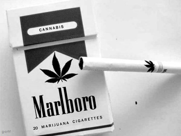 Сигареты Мальборо с коноплей