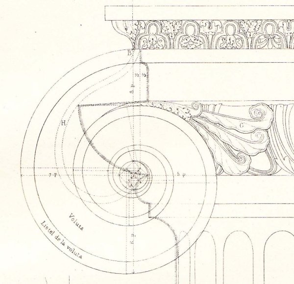 Капитель Ионического ордера