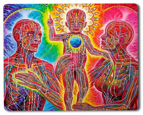 Алекс грей Хоффман