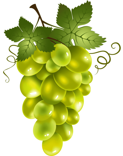 Гроздь винограда