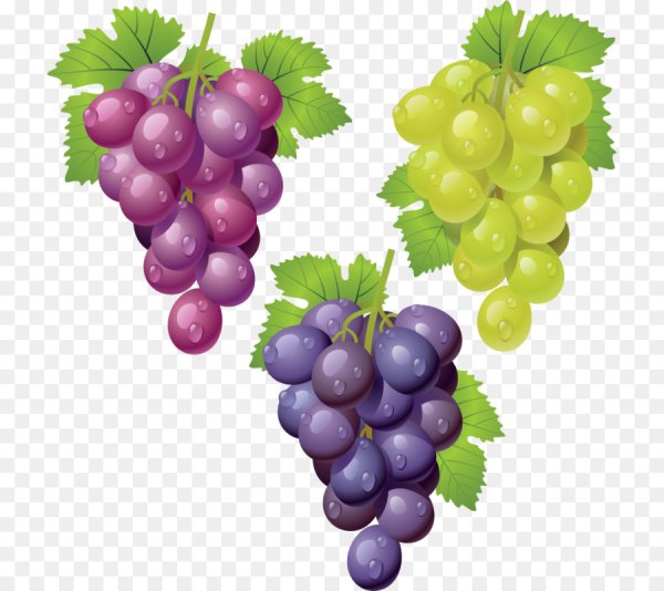 Виноград мультяшный на белом фоне