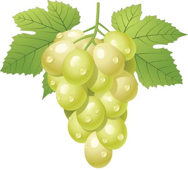 Гроздь винограда на белом фоне