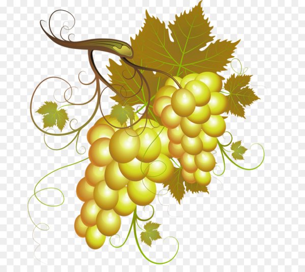 Гроздь Виноградная