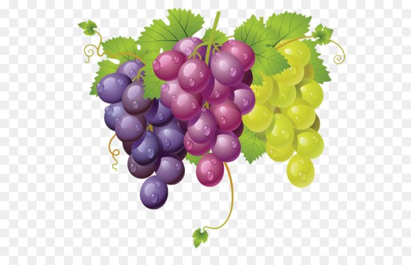 Наклейка - виноград