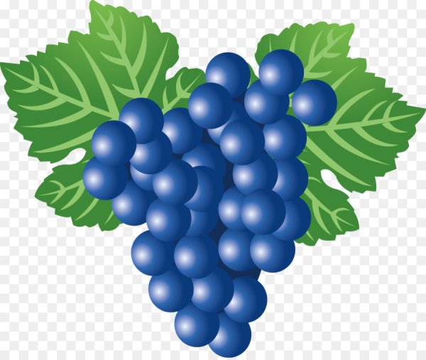 С фруктами с виноградом вектор