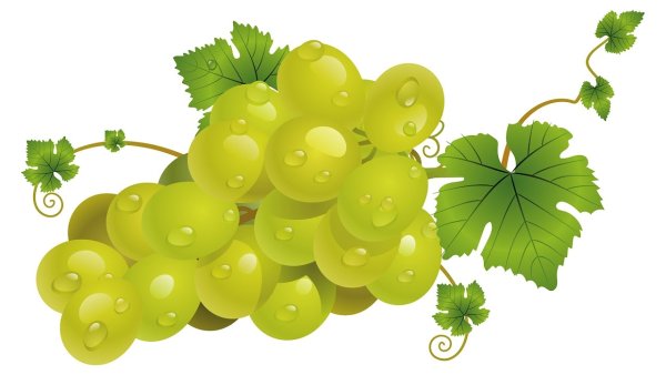 Виноград для дошкольников